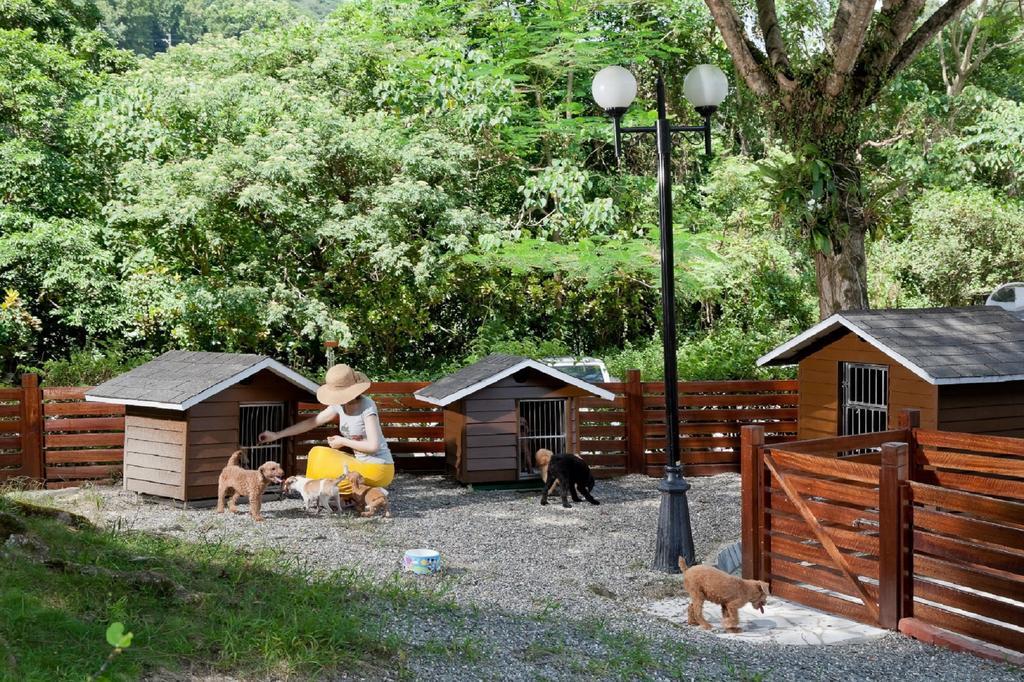 Hotel Royal Chihpin Wenquan Exteriér fotografie A dog hotel in the United States
